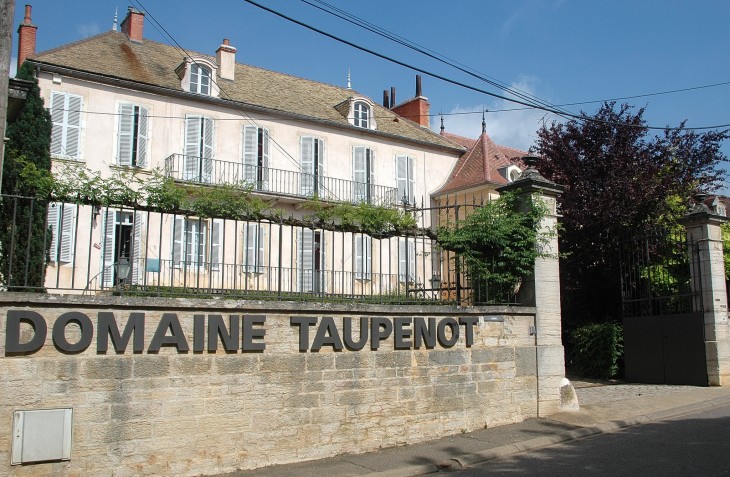 Domaine Taupenot-Merme