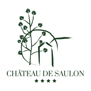 Château de saulon